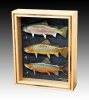 Three Trout Shadowbox